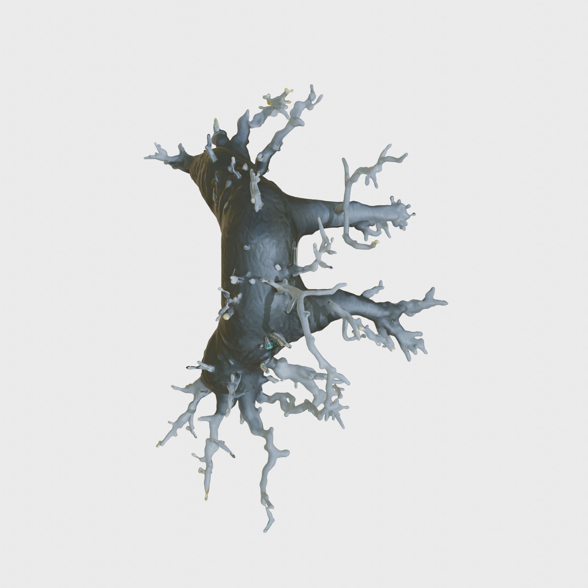 Enchanted Thorned Creature with Luminous Points Low-poly 3D model_20