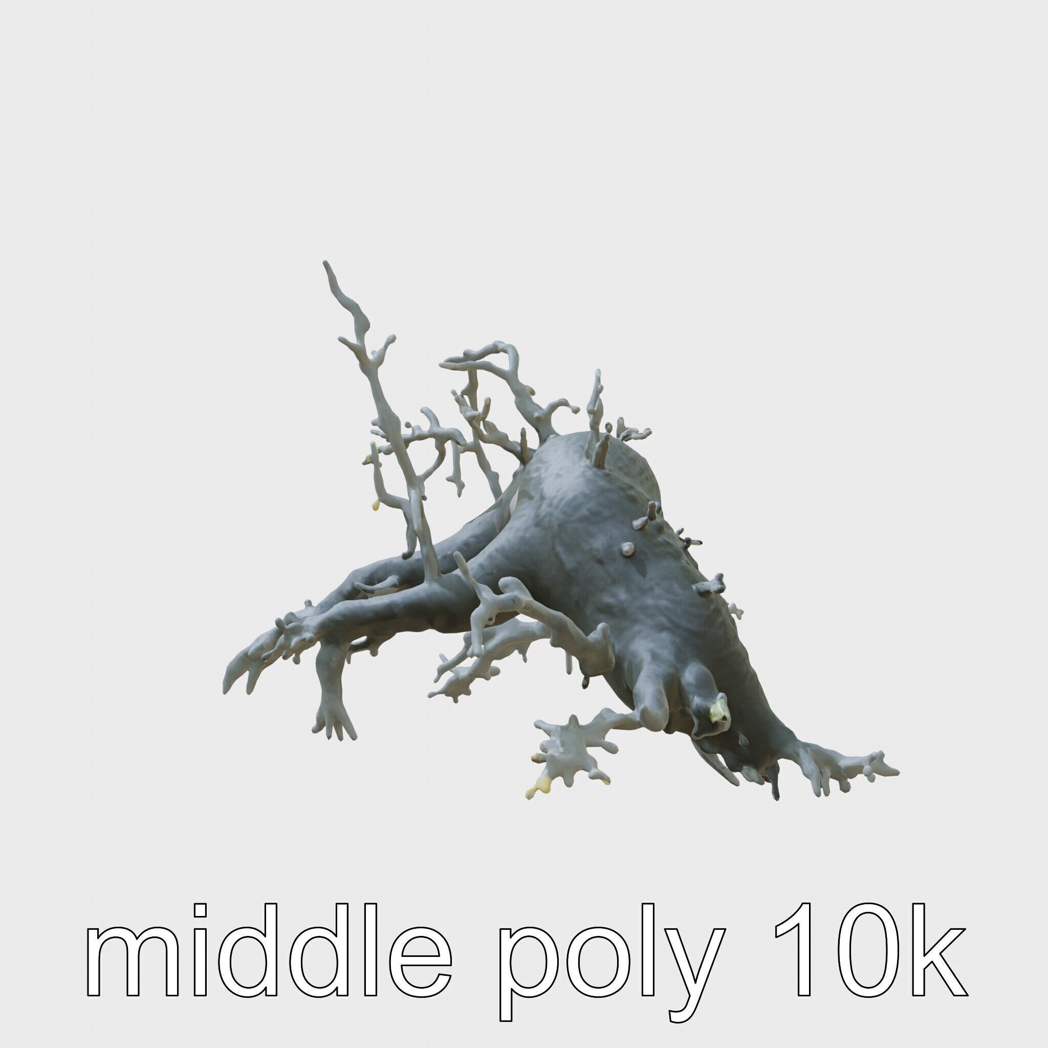 Enchanted Thorned Creature with Luminous Points Low-poly 3D model_2