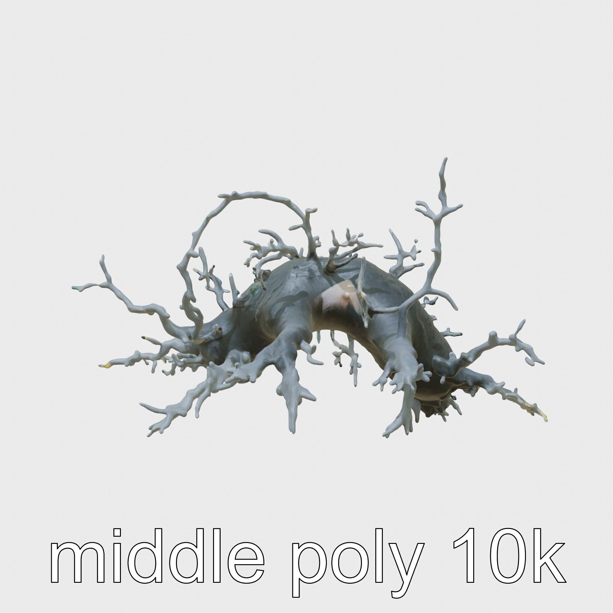 Enchanted Thorned Creature with Luminous Points Low-poly 3D model_12