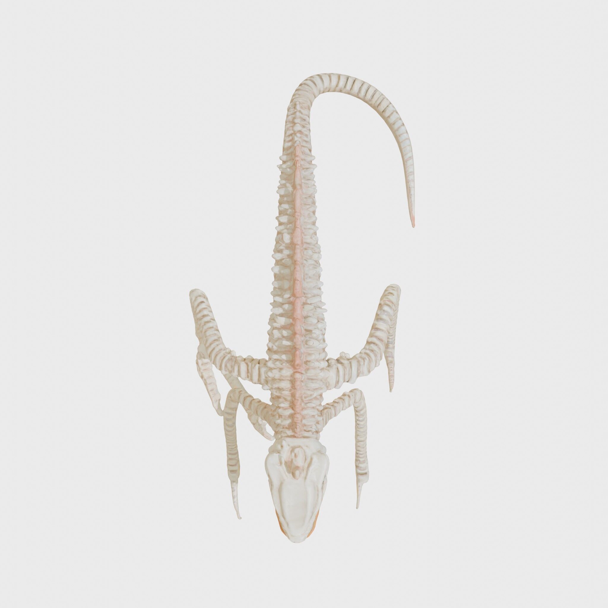 Amorphous Monster with Snakelike Limbs Structure Low-poly 3D model_11