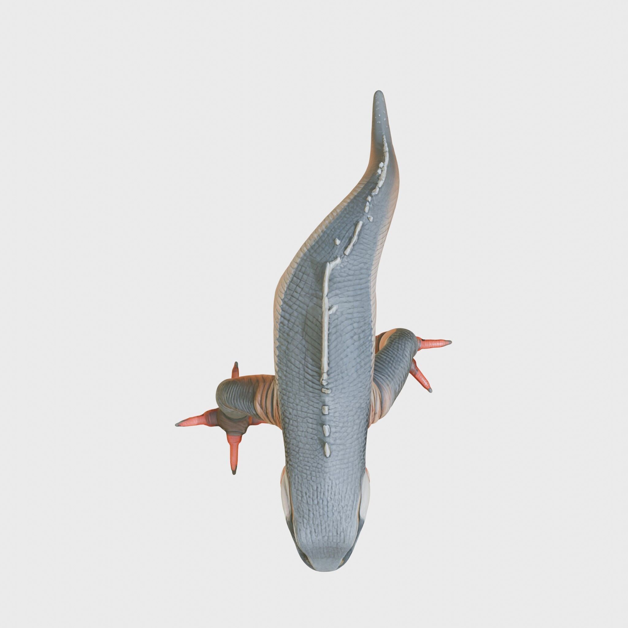 Slick-Scaled Monster with Teeth and Suction Cup Limbs 3D Model Low-poly 3D model_21