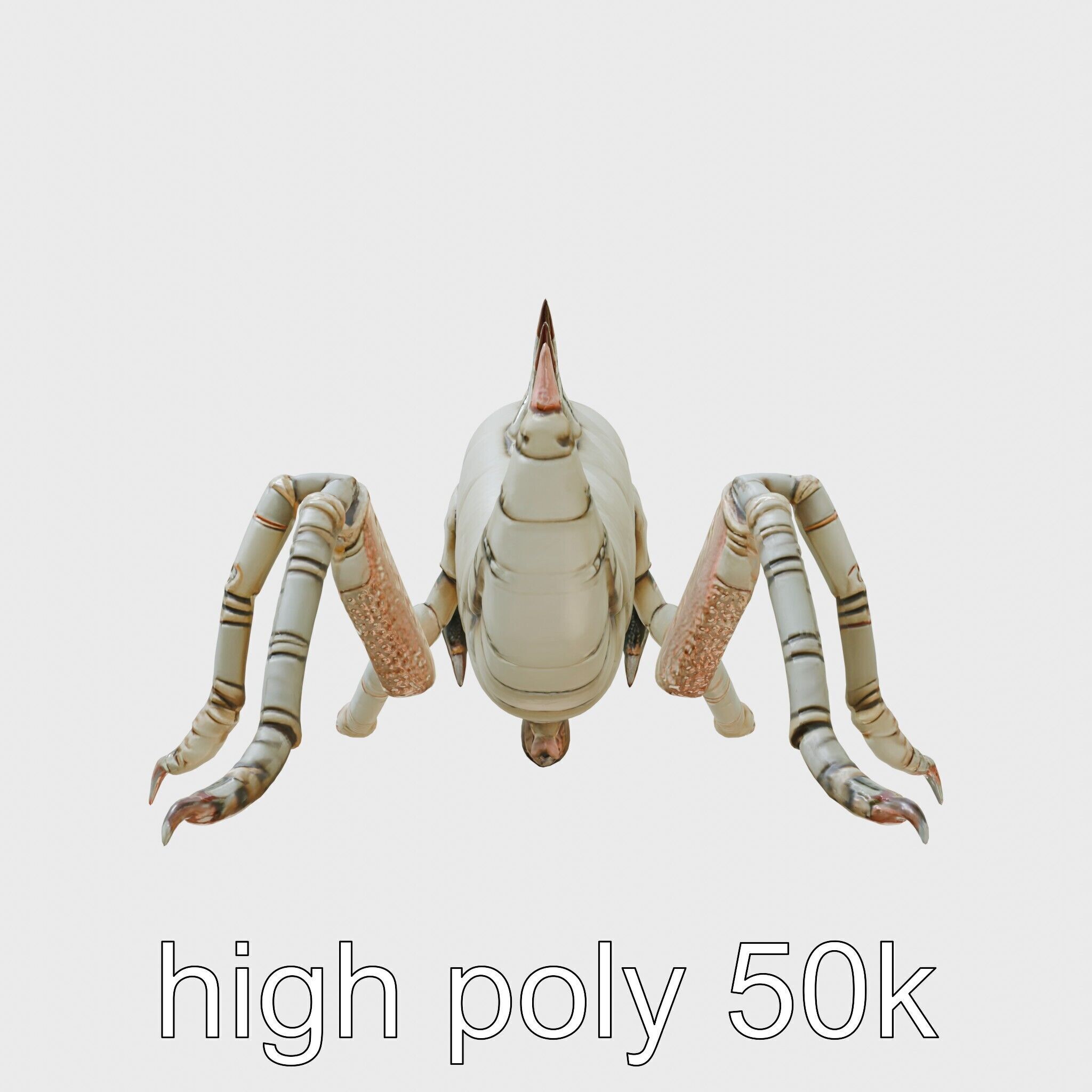 Metallic Insectoid Monster with Spiked Armor Low-poly 3D model_2