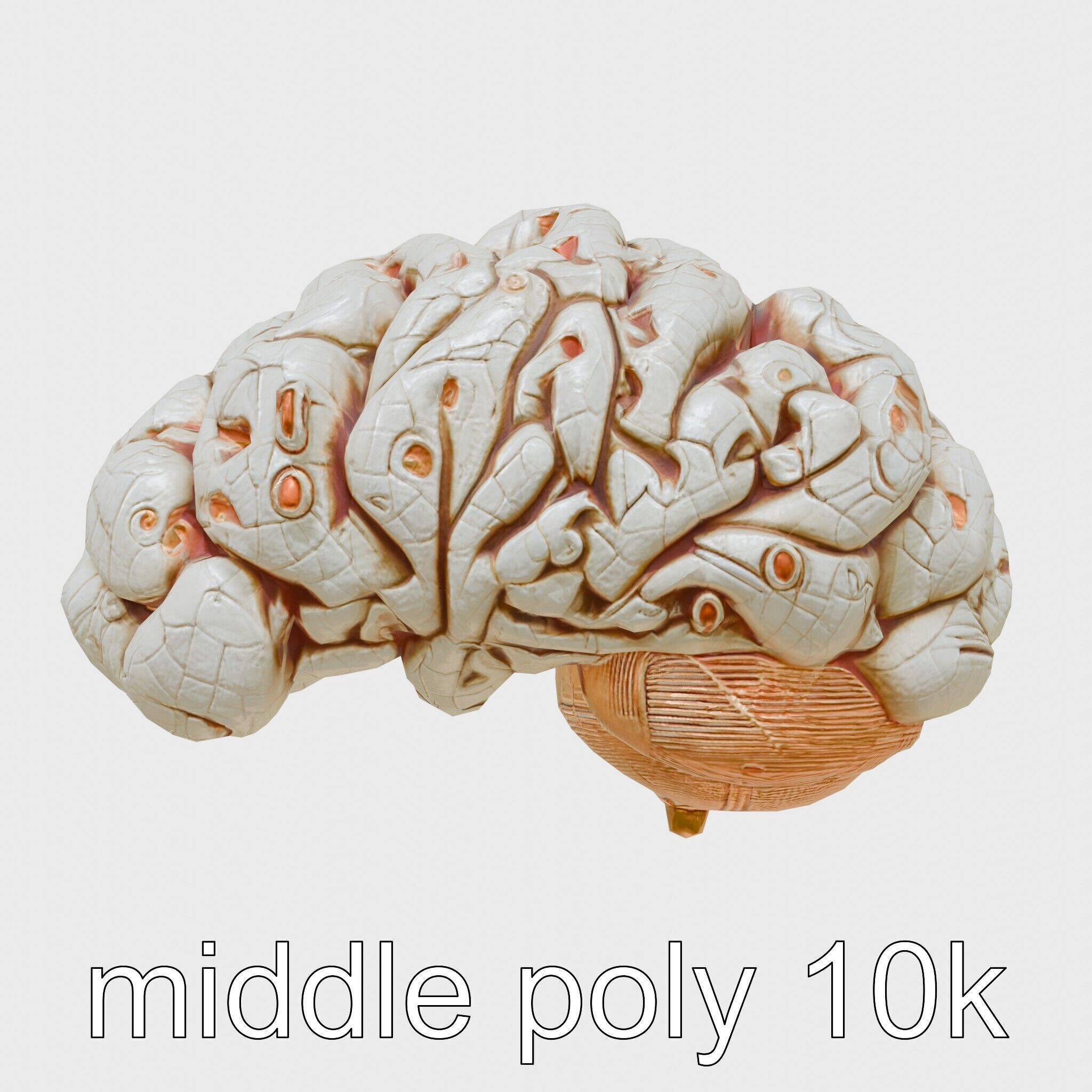 Futuristic Mechanical Brain Model Low-poly 3D model_27