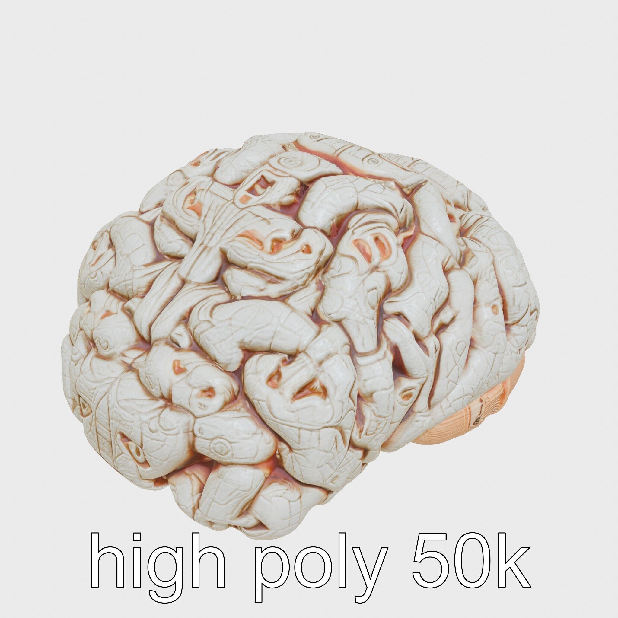 Futuristic Mechanical Brain Model Low-poly 3D model_14