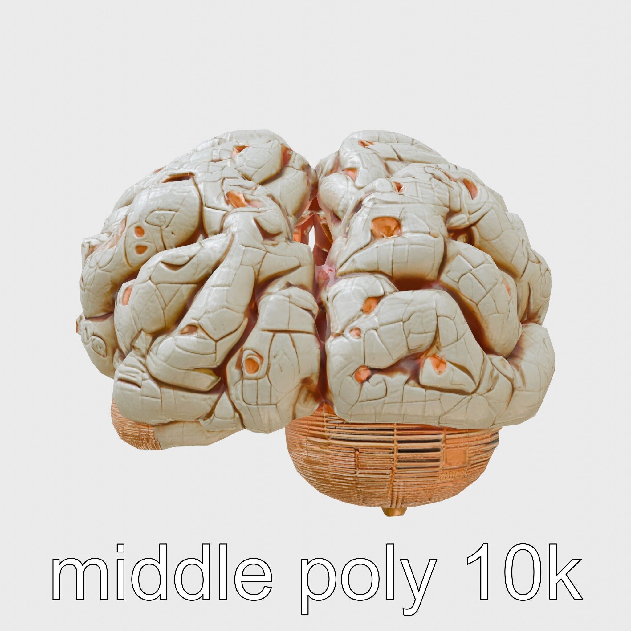 Futuristic Mechanical Brain Model Low-poly 3D model_9