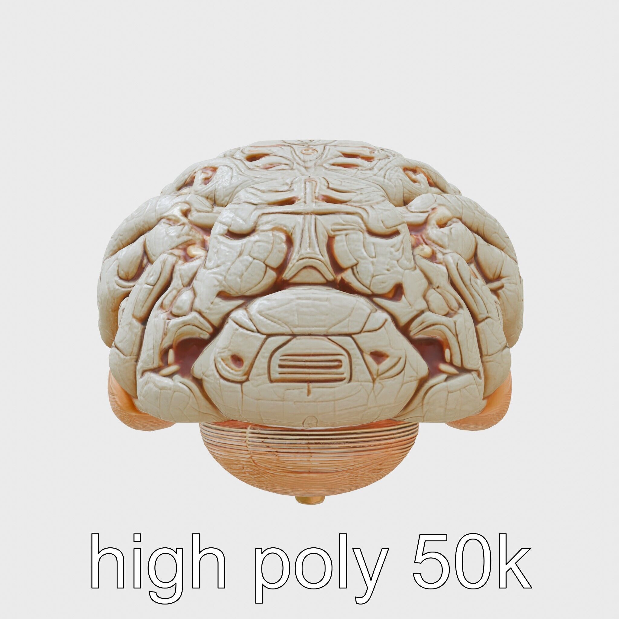 Futuristic Mechanical Brain Model Low-poly 3D model_8