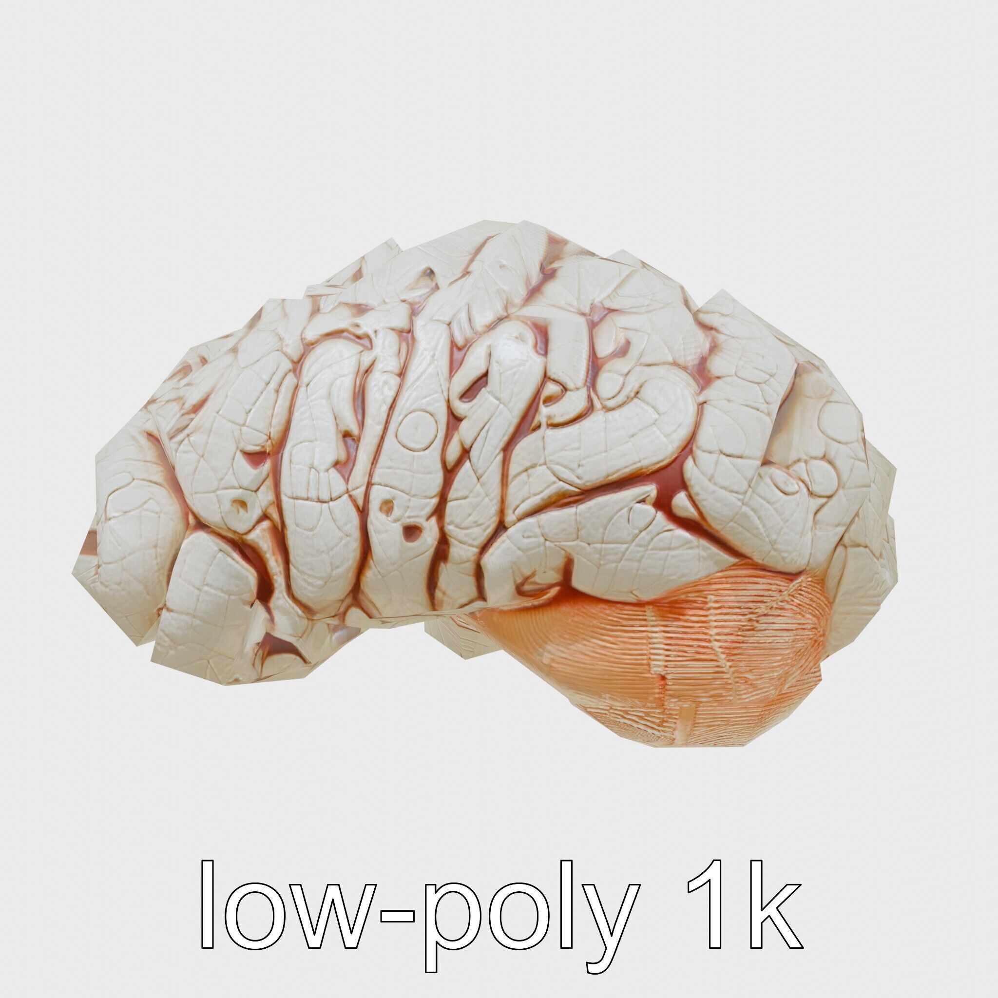Futuristic Mechanical Brain Model Low-poly 3D model_24