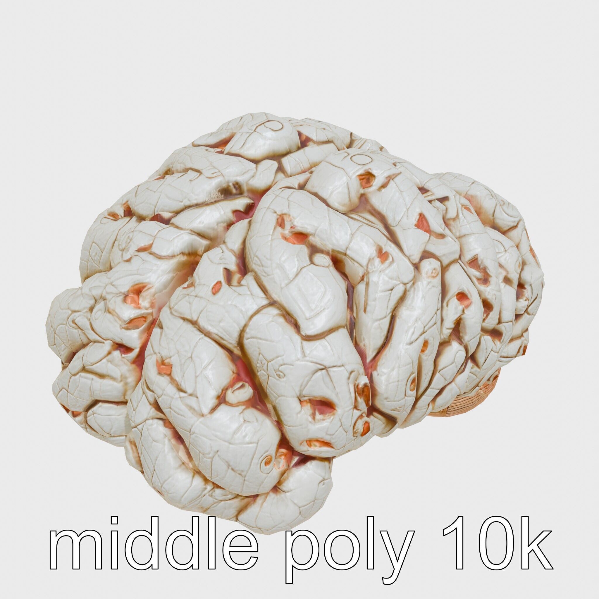 Futuristic Mechanical Brain Model Low-poly 3D model_16