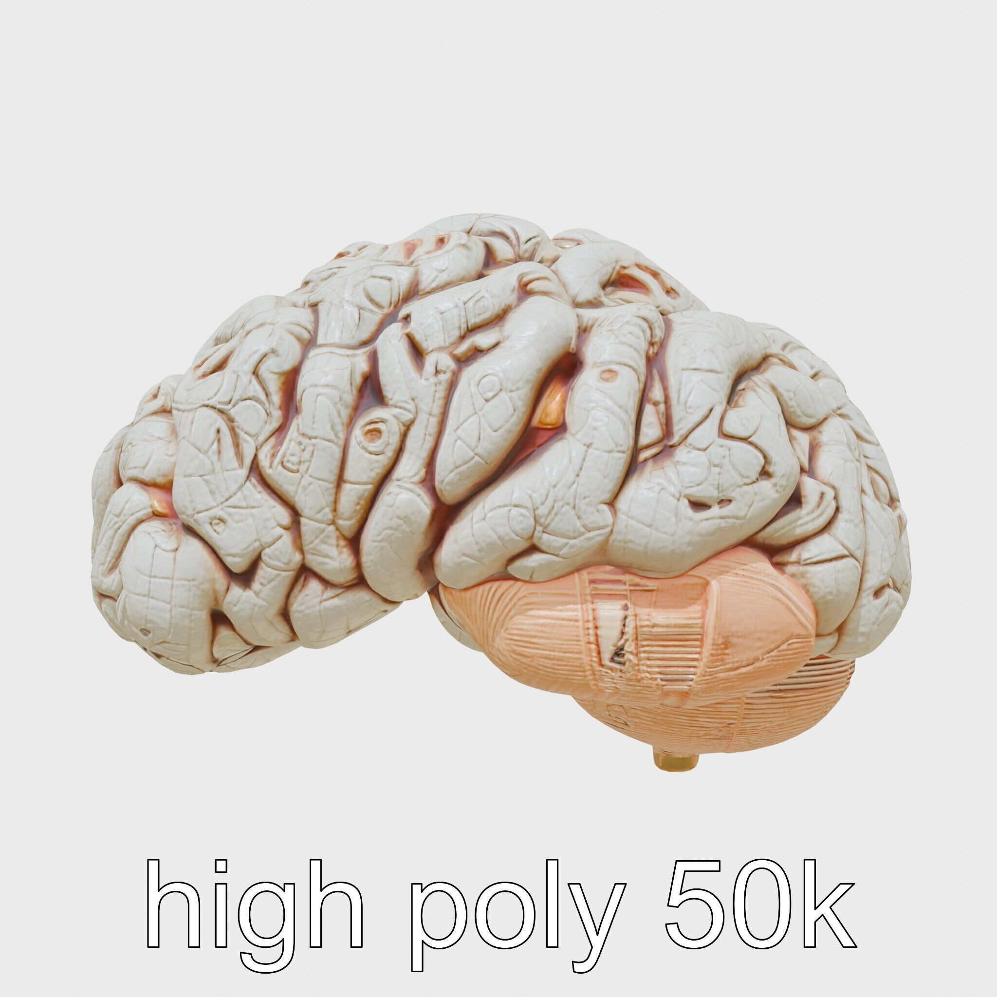 Futuristic Mechanical Brain Model Low-poly 3D model_12