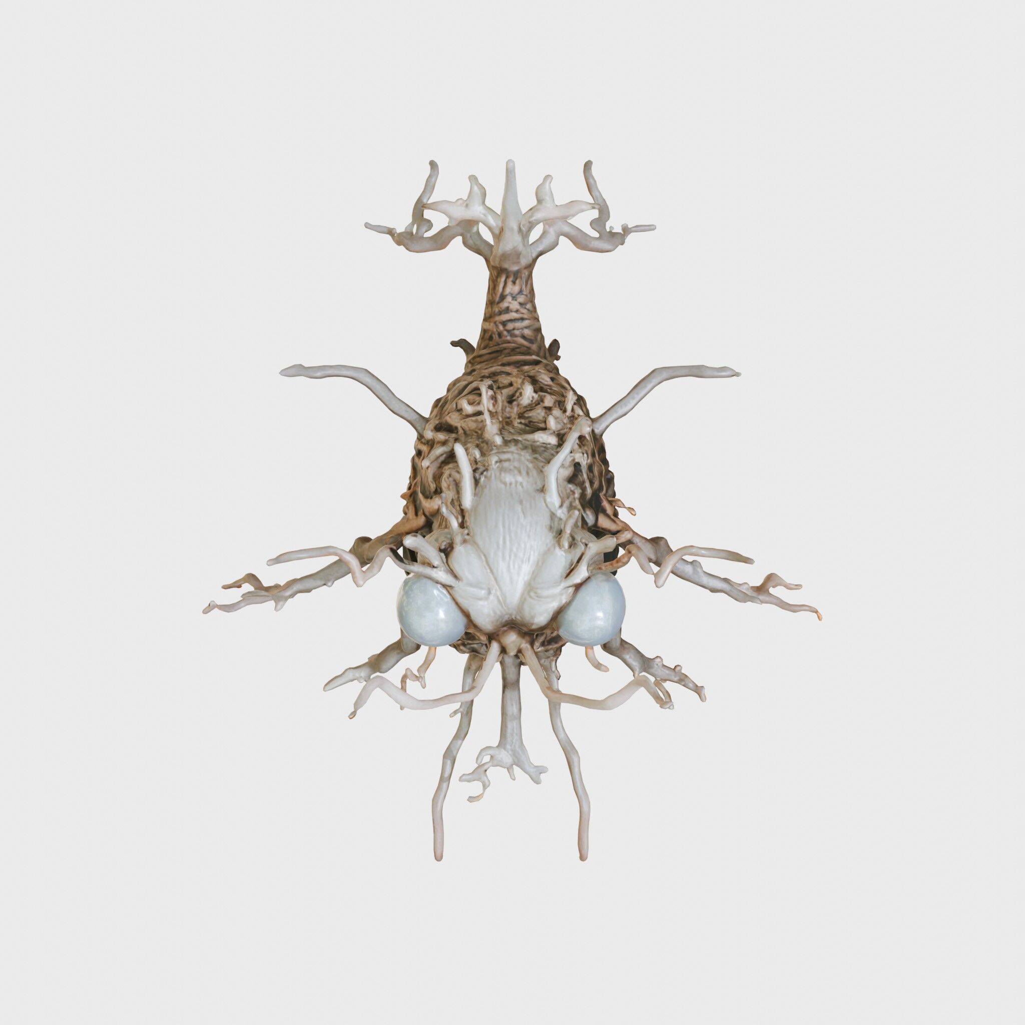 Root-Entanglement Creature with Insectoid Eyes Low-poly 3D model_17
