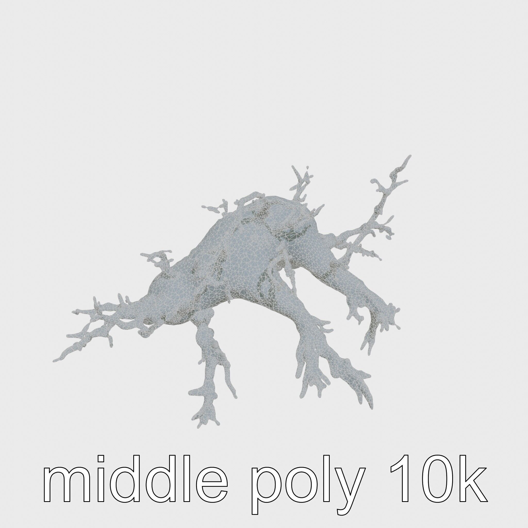 Enchanted Thorned Creature with Luminous Points Low-poly 3D model_29