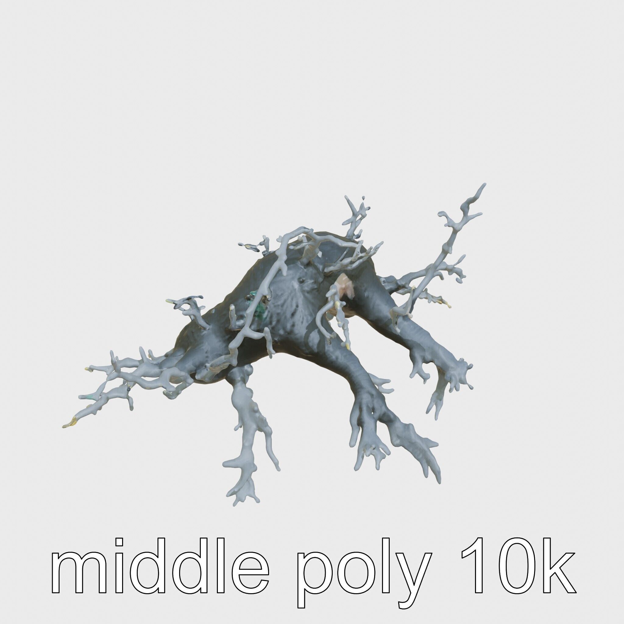 Enchanted Thorned Creature with Luminous Points Low-poly 3D model_8