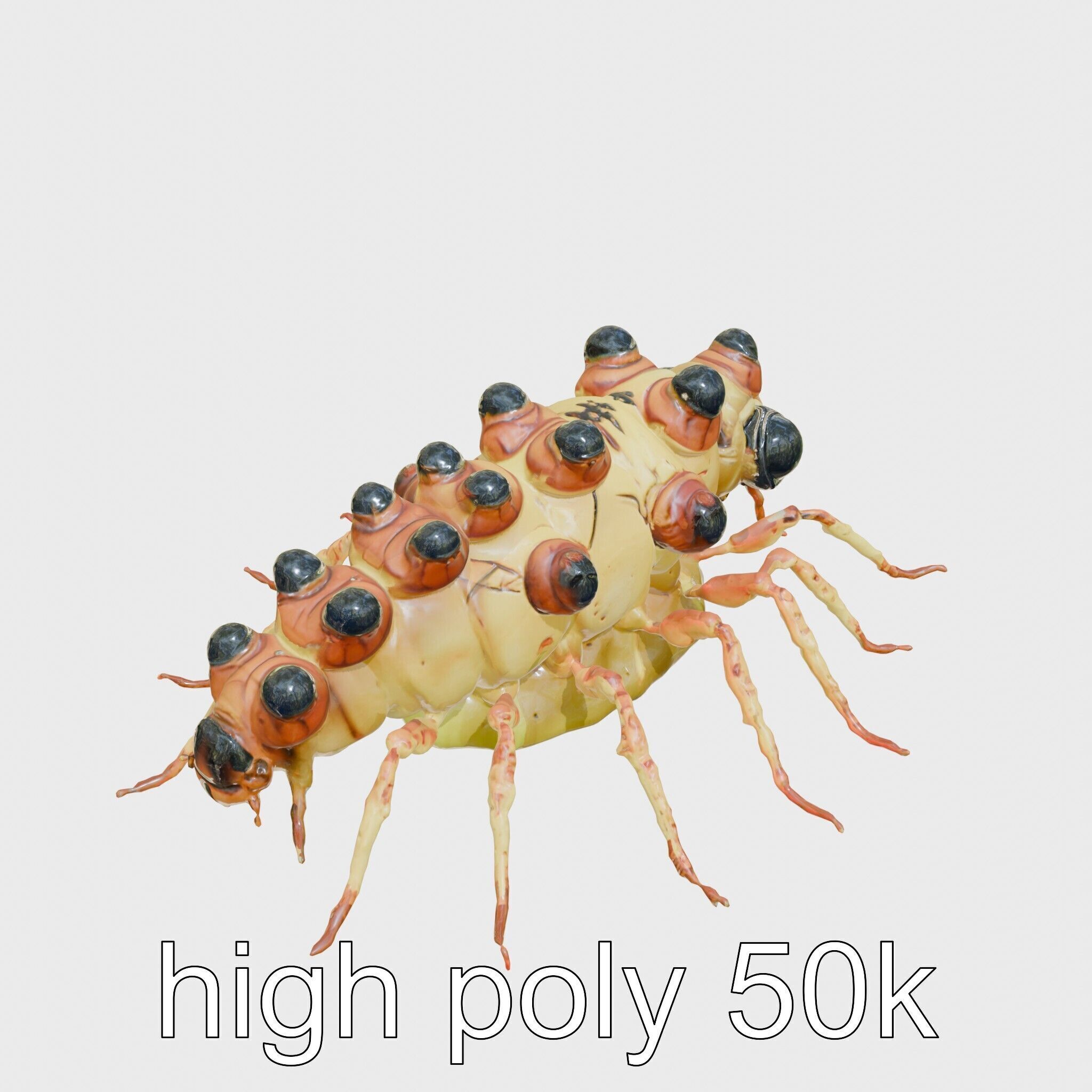 Gelatinous Multi-Eyed Insect Creature Low-poly 3D model_8