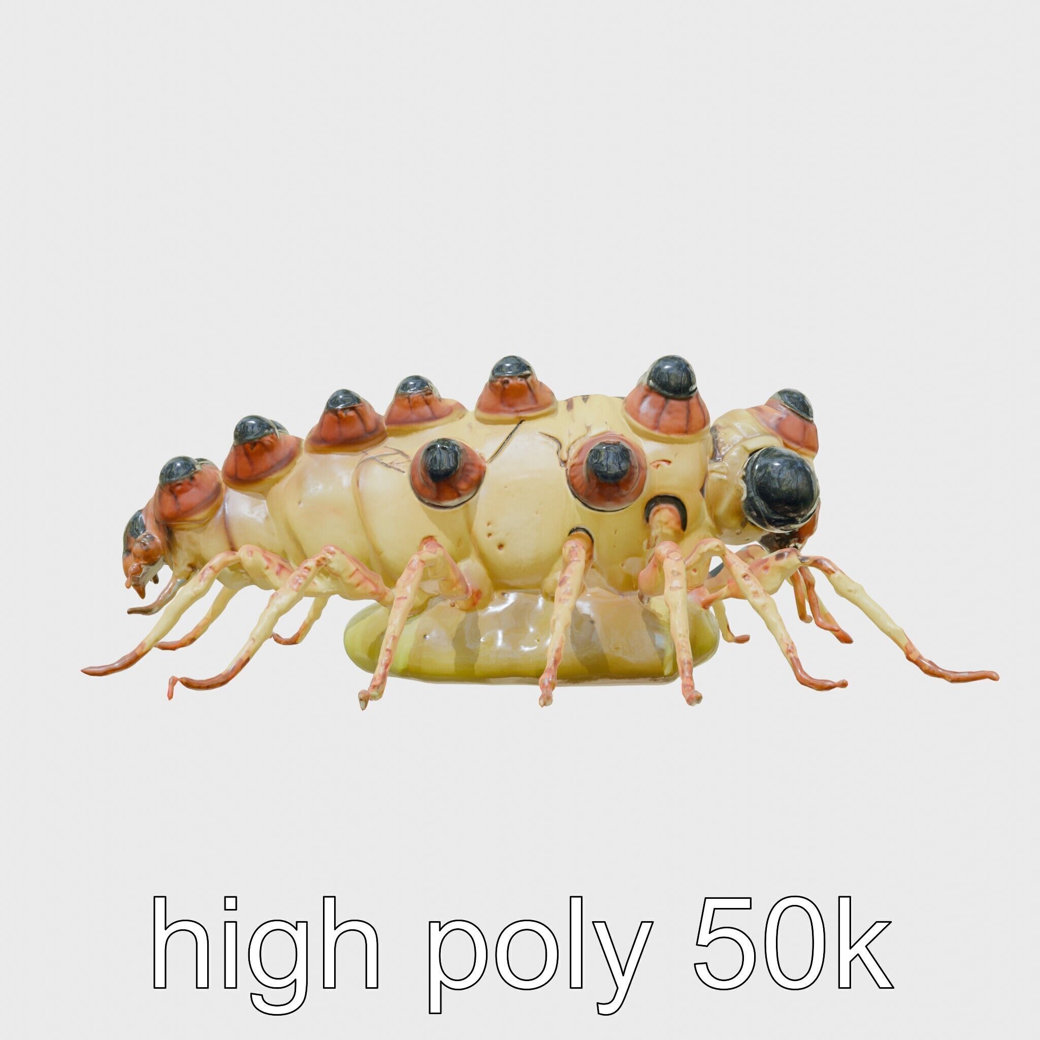 Gelatinous Multi-Eyed Insect Creature Low-poly 3D model_25