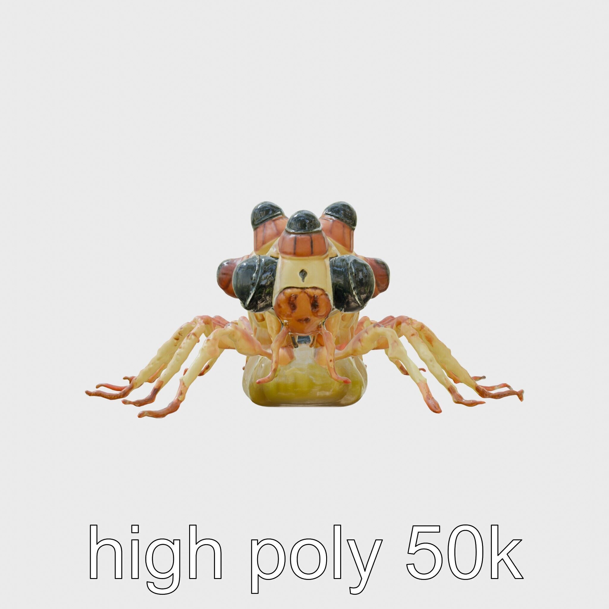 Gelatinous Multi-Eyed Insect Creature Low-poly 3D model_2