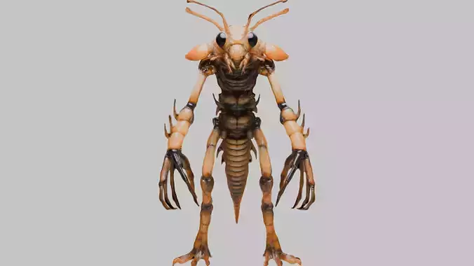 Stylized Prawn 3D Model