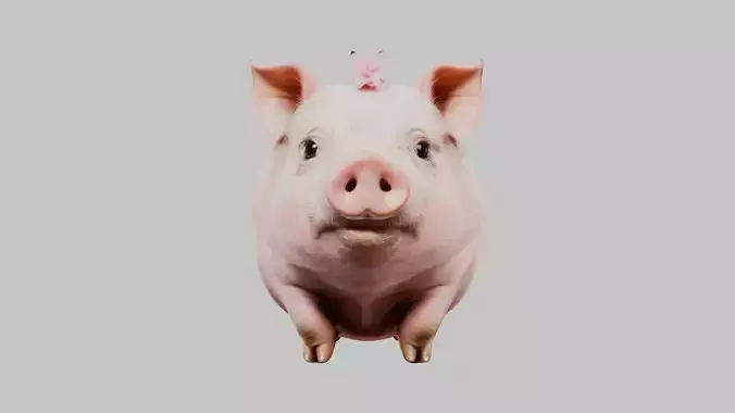 3D Pig Model - Cartoon Animal Character