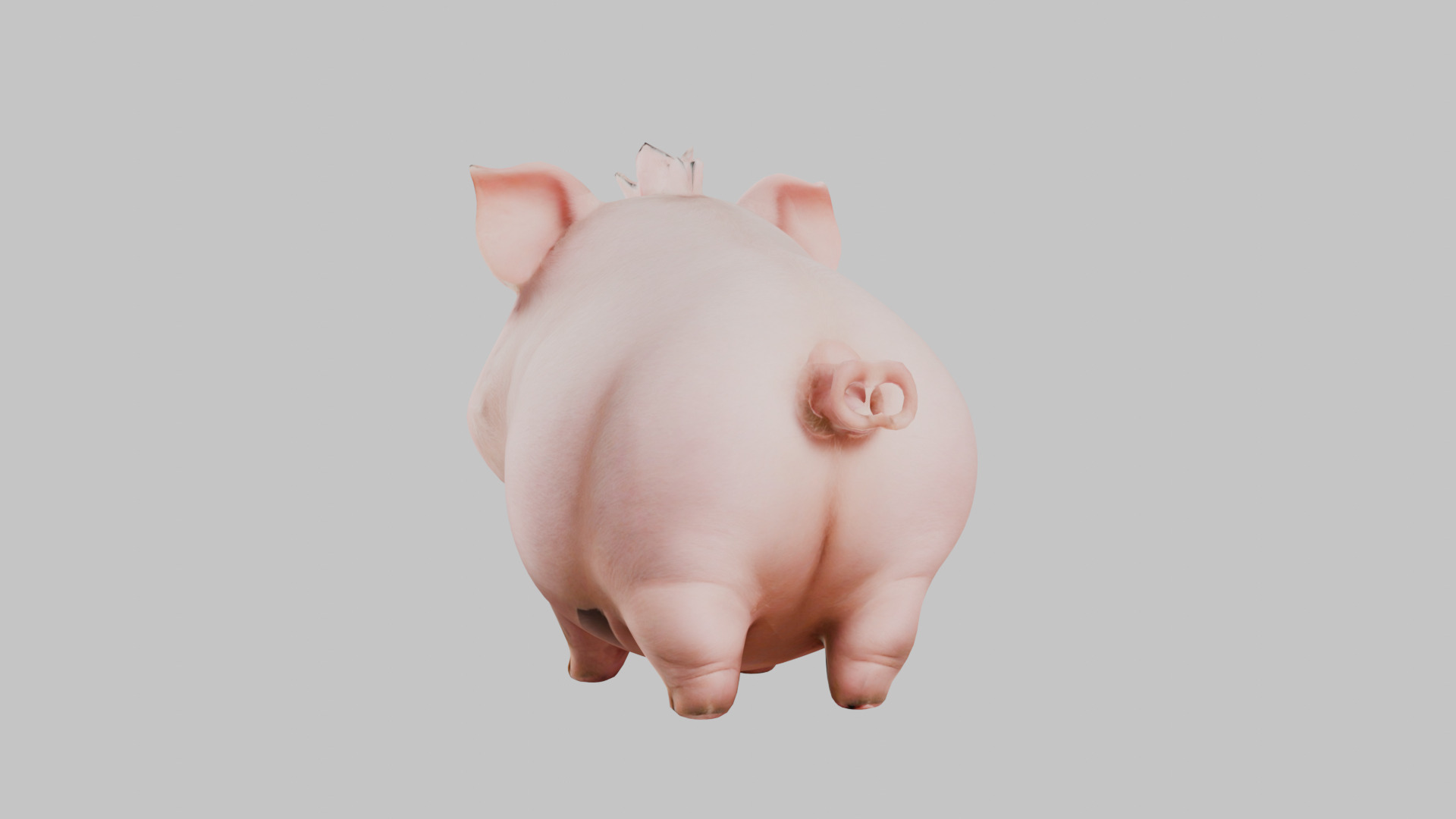 3D Pig Model - Cartoon Animal Character Low-poly 3D model_4