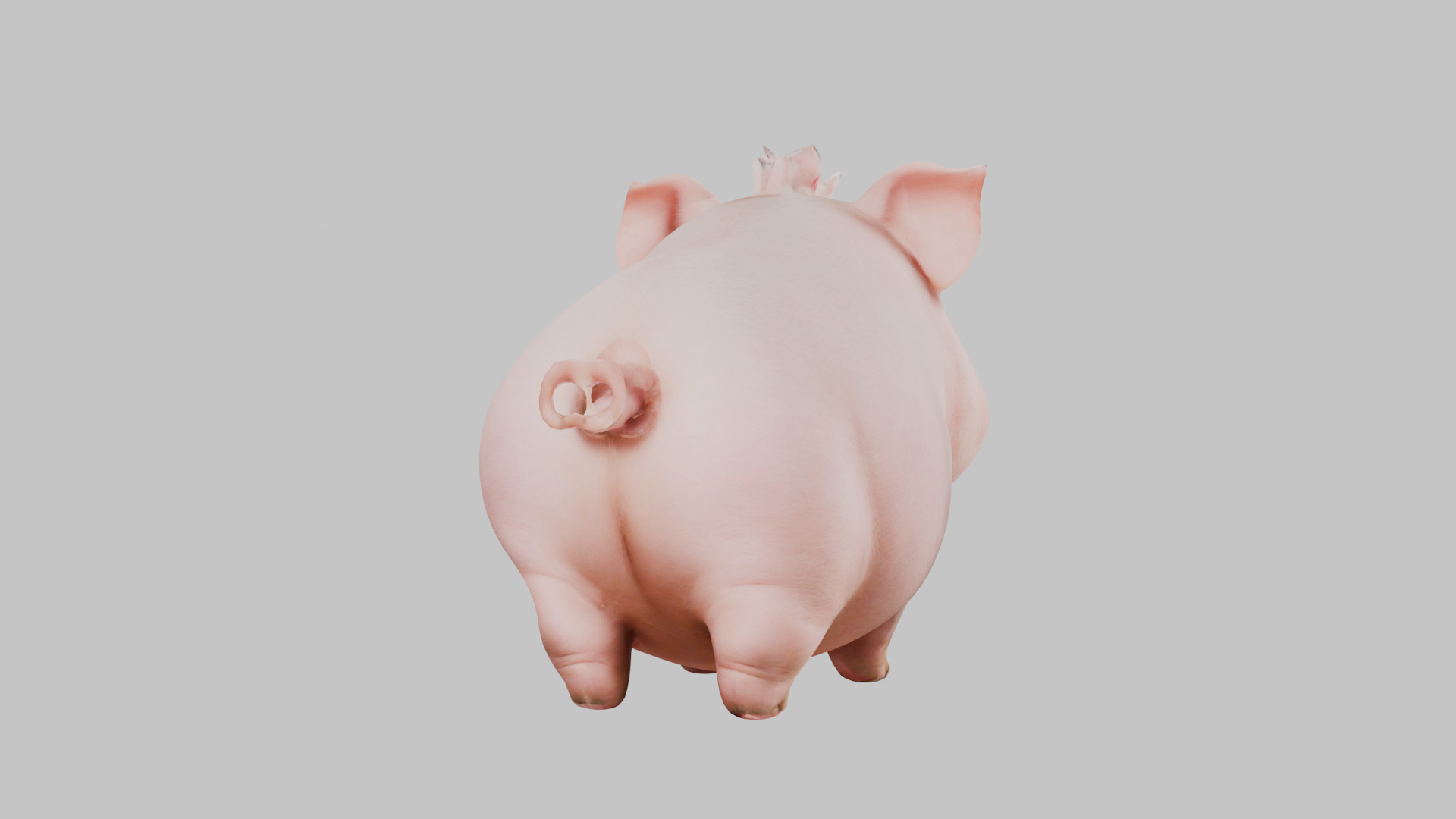 3D Pig Model - Cartoon Animal Character Low-poly 3D model_27