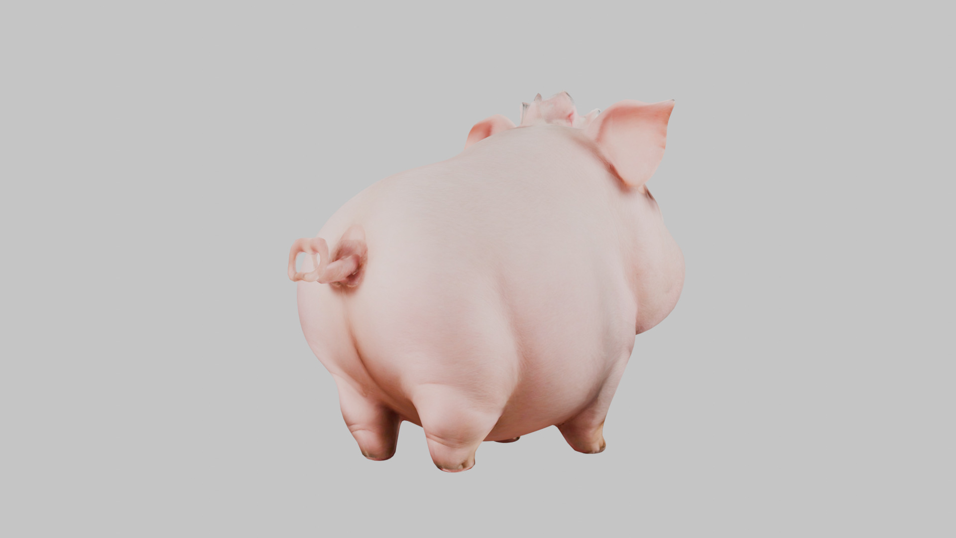 3D Pig Model - Cartoon Animal Character Low-poly 3D model_25