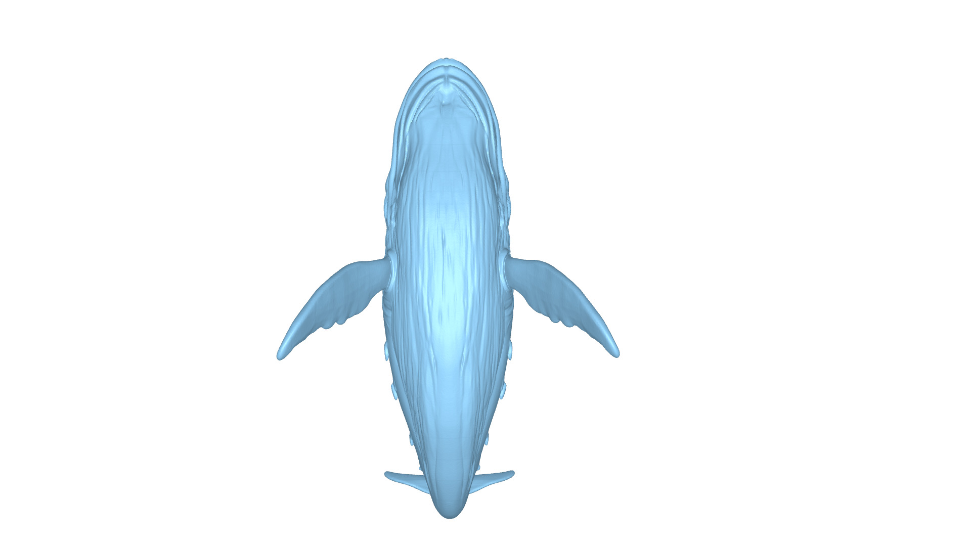 Humpback Whale 3D Printable Model STL OBJ 3D print model_5