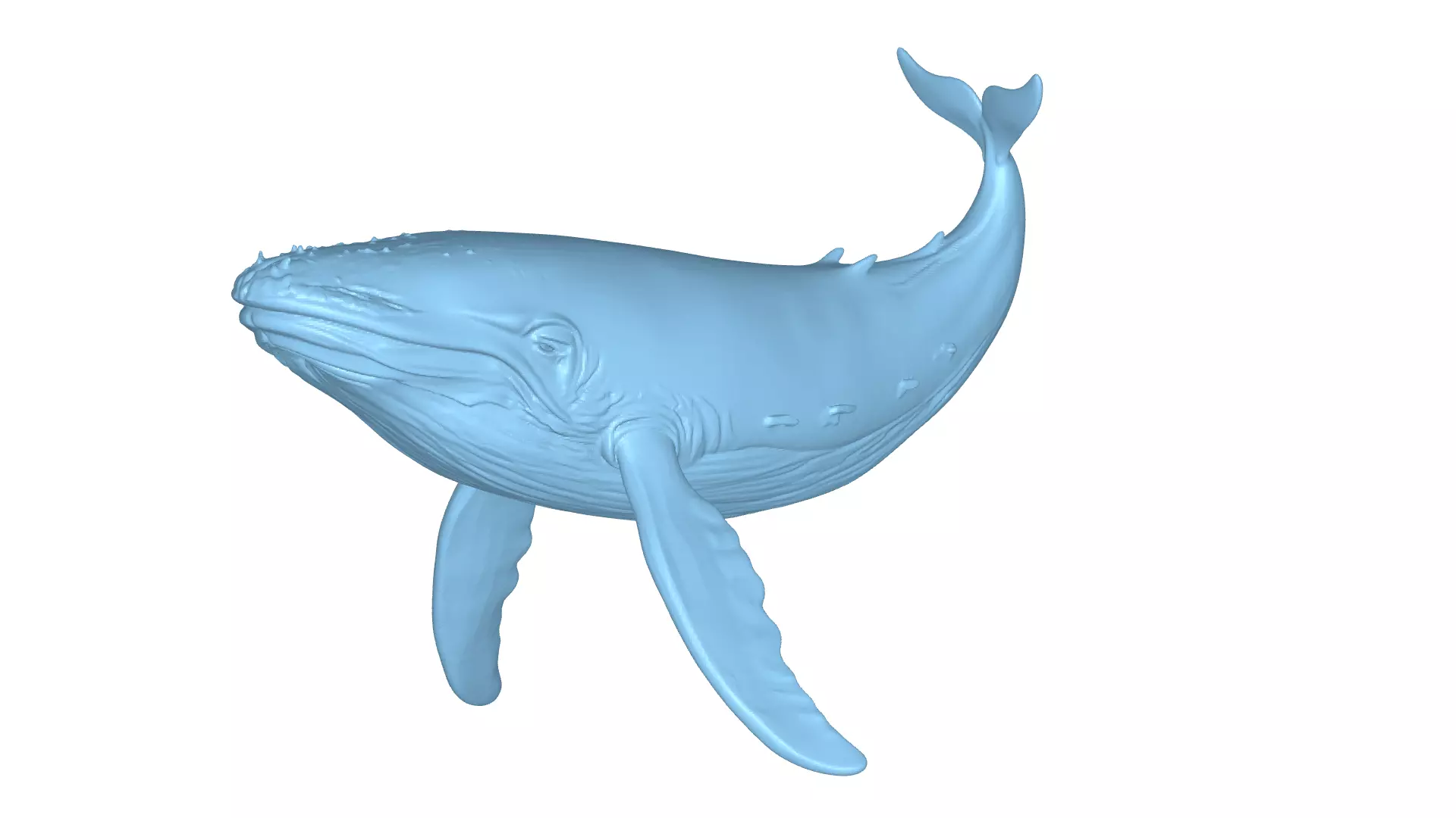 Humpback Whale 3D Printable Model STL OBJ 3D print model_0