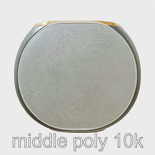 Lyr Oval Voice Assistant with Leather Insets Low-poly 3D model