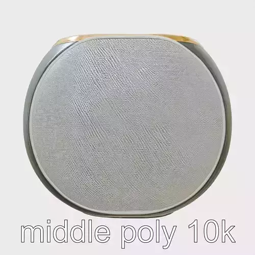 Lyr Oval Voice Assistant with Leather Insets