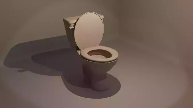 Vintage Toilet