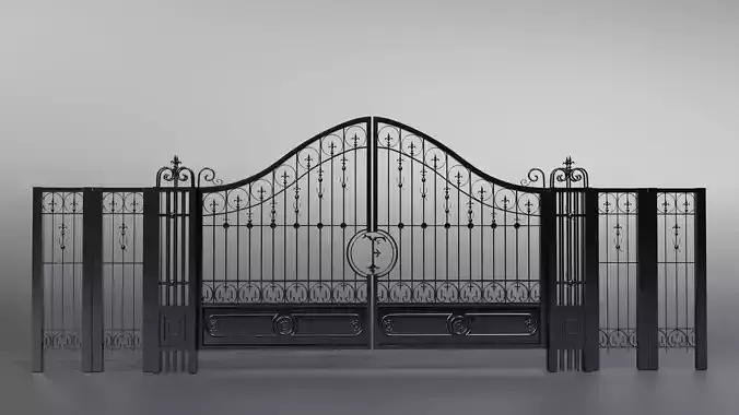 Decorative elegant wrought iron gate