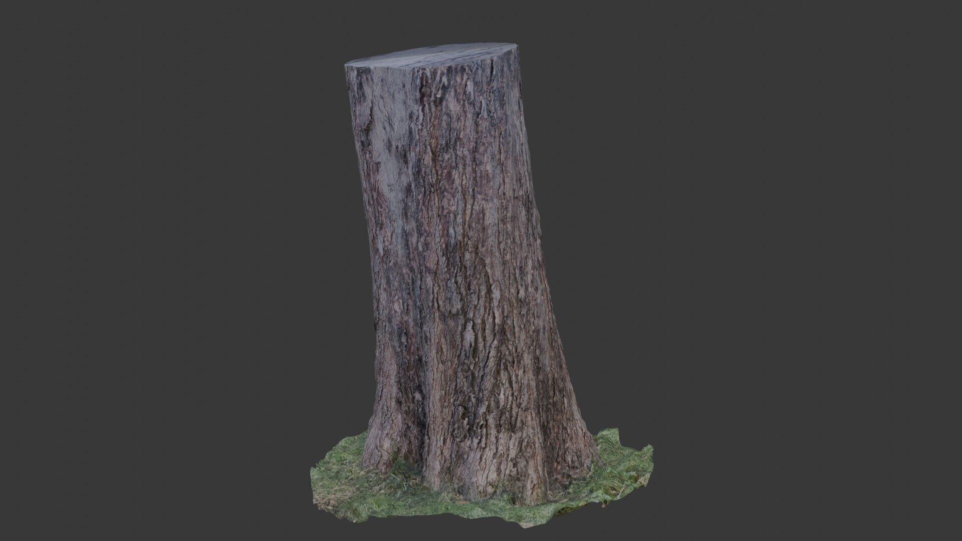 Tree Trunk Scanned Model Low-poly 3D model_5