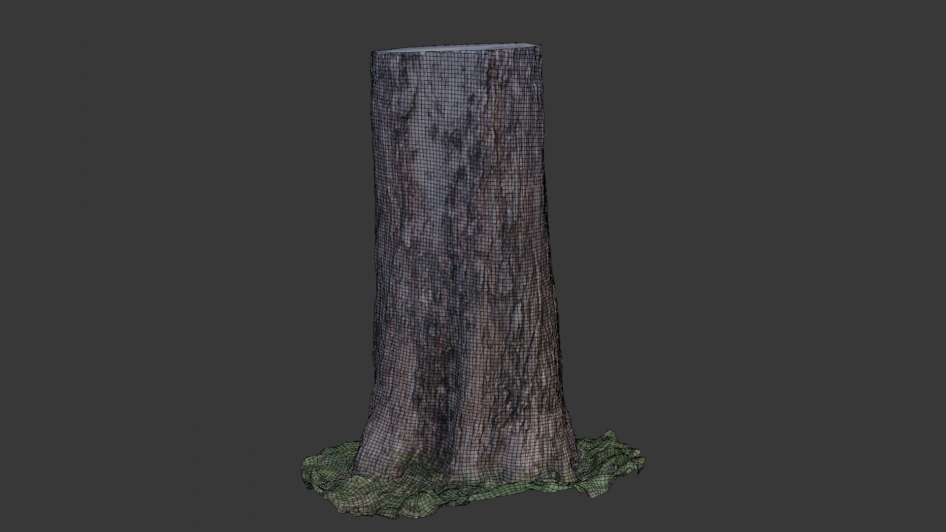 Tree Trunk Scanned Model Low-poly 3D model_2