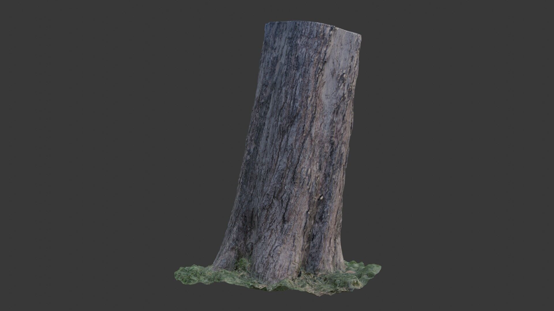 Tree Trunk Scanned Model Low-poly 3D model_6