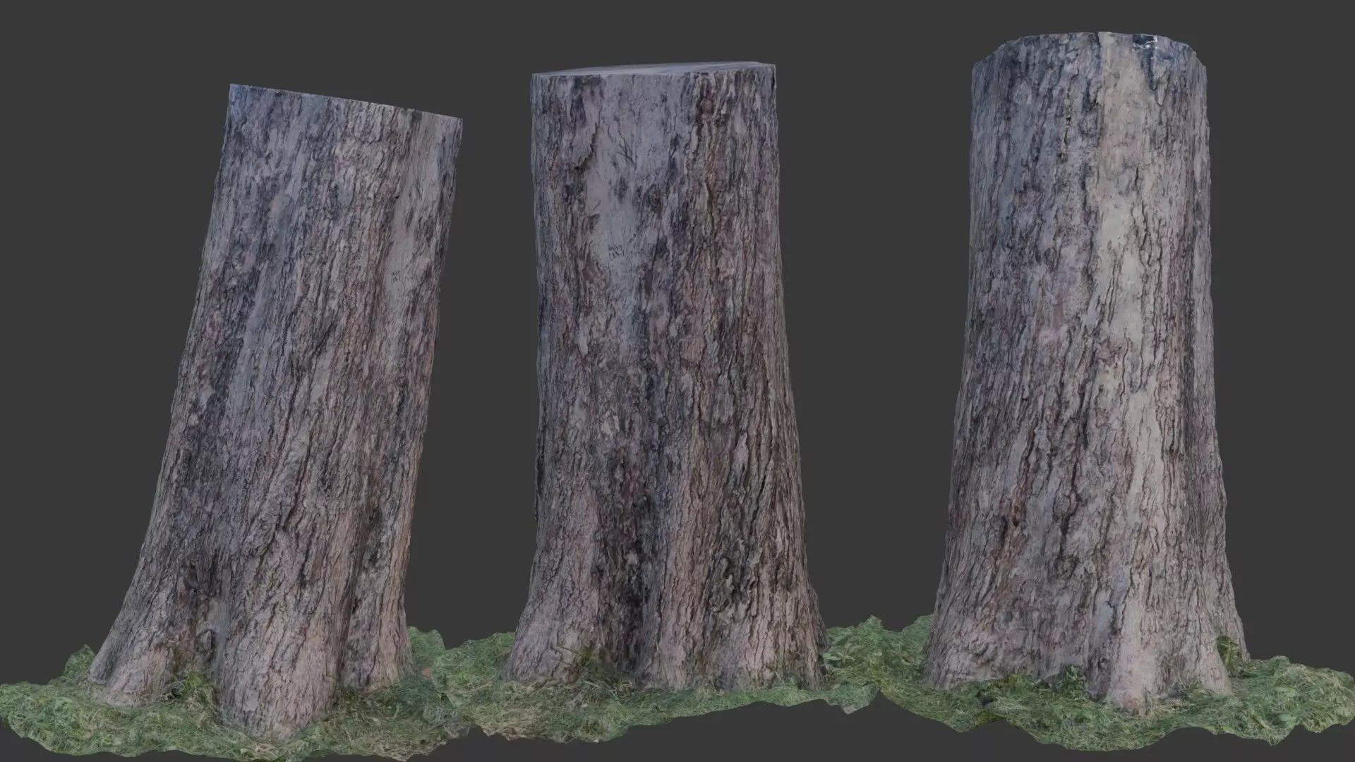 Tree Trunk Scanned Model Low-poly 3D model_0