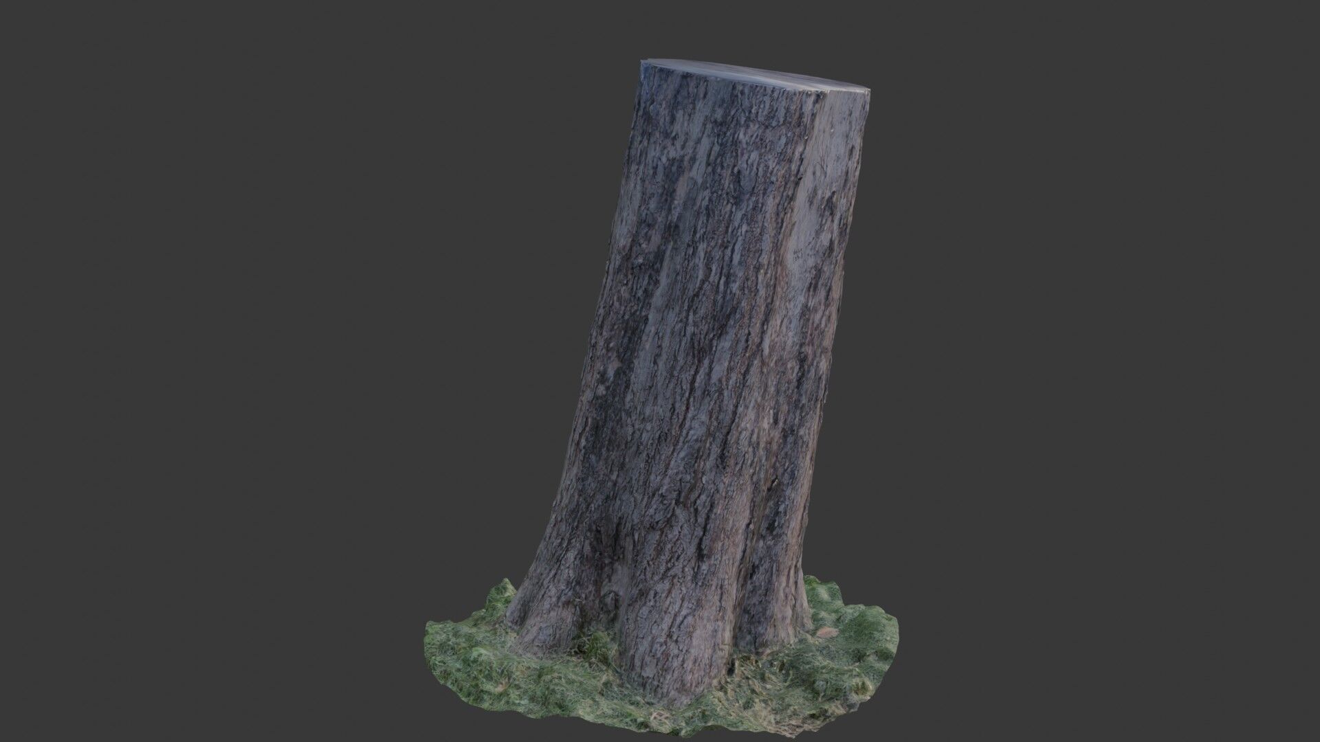 Tree Trunk Scanned Model Low-poly 3D model_7