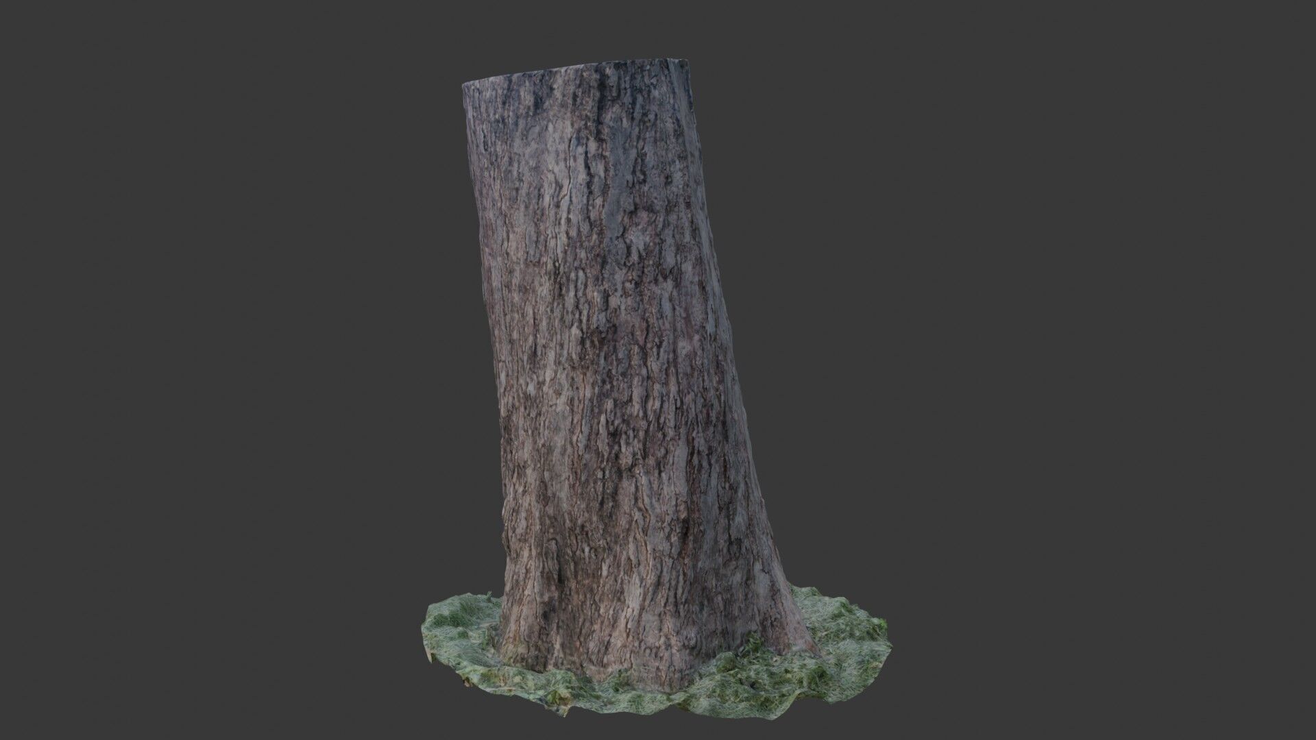 Tree Trunk Scanned Model Low-poly 3D model_4