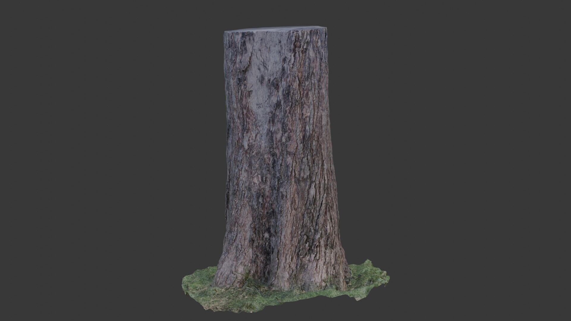 Tree Trunk Scanned Model Low-poly 3D model_1