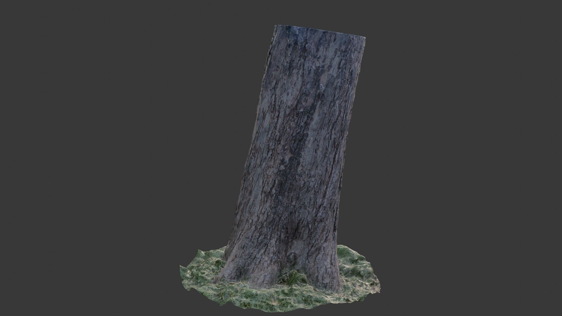 Tree Trunk Scanned Model Low-poly 3D model_3