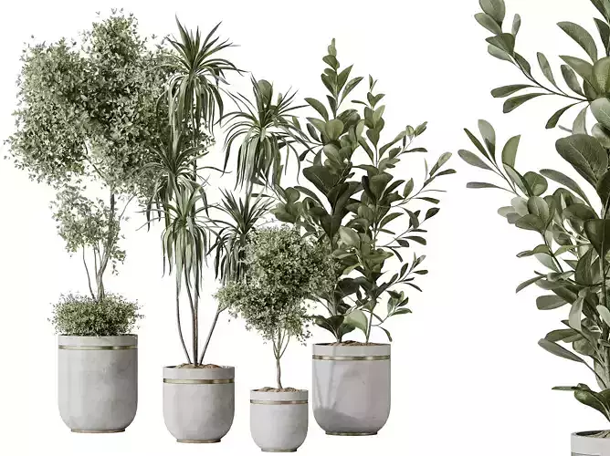 AV Indoor plants set 187