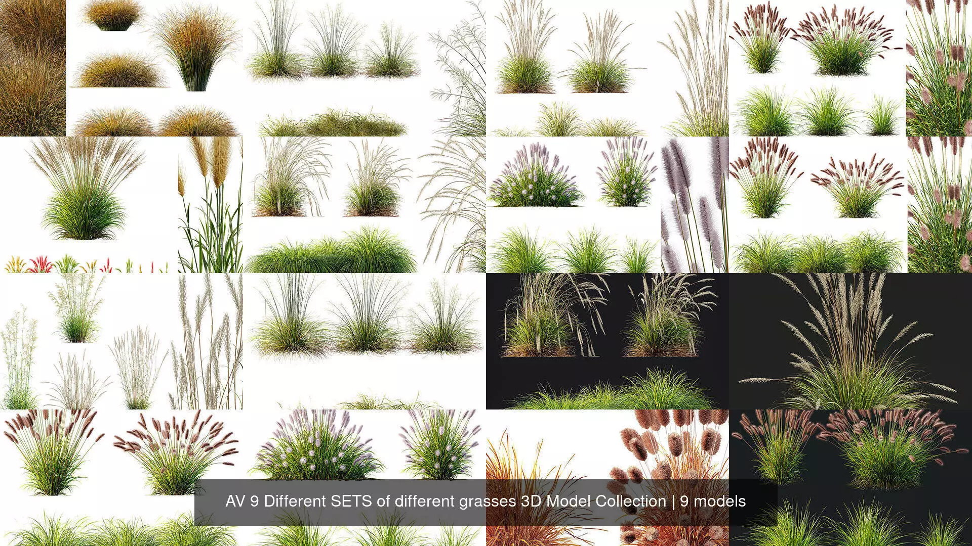 AV 9 Different SETS of different grasses 3D Model Collection _0