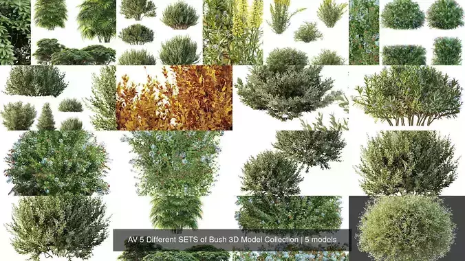 AV 5 Different SETS of Bush 3D Model Collection 
