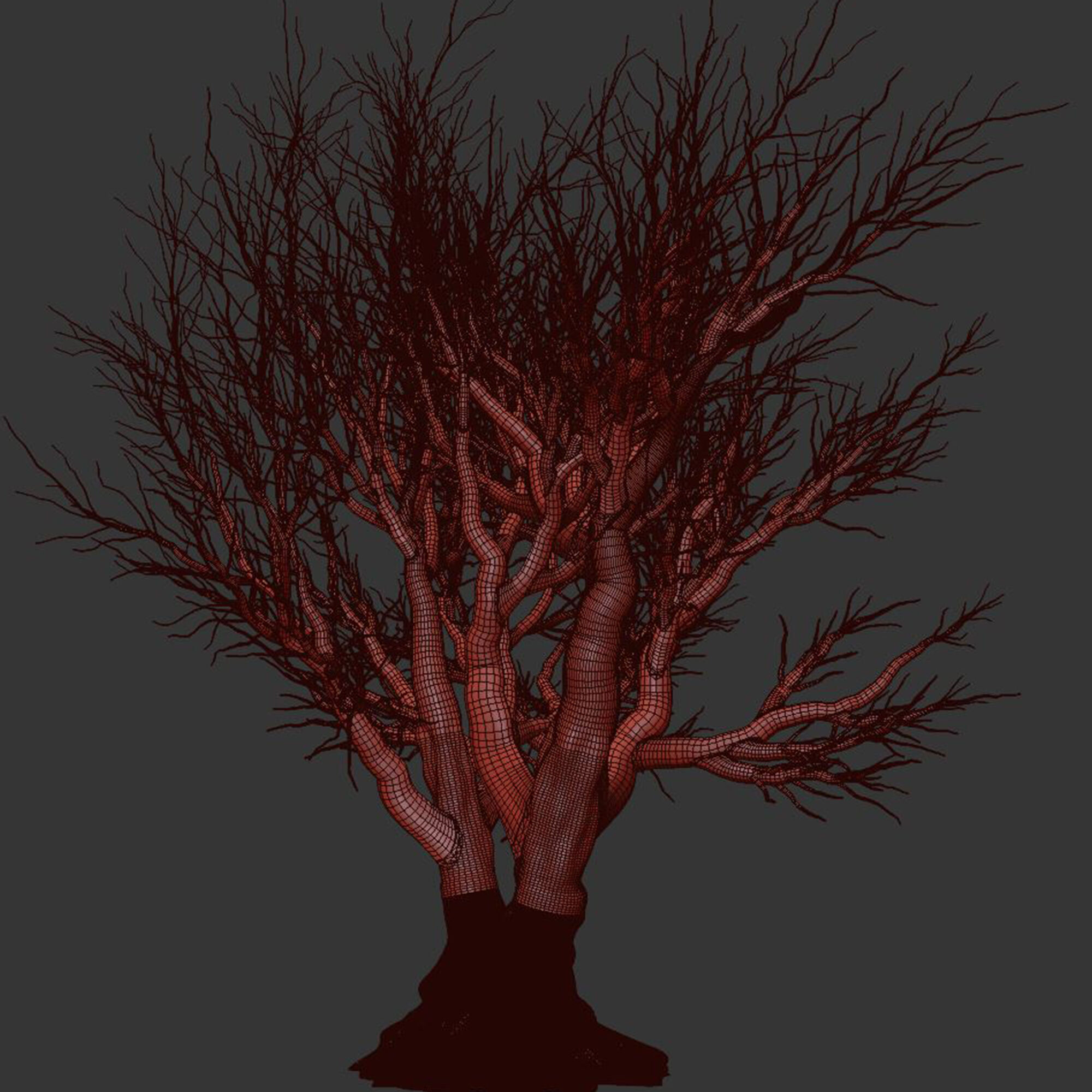 Dry Tree Set26 3D model_2