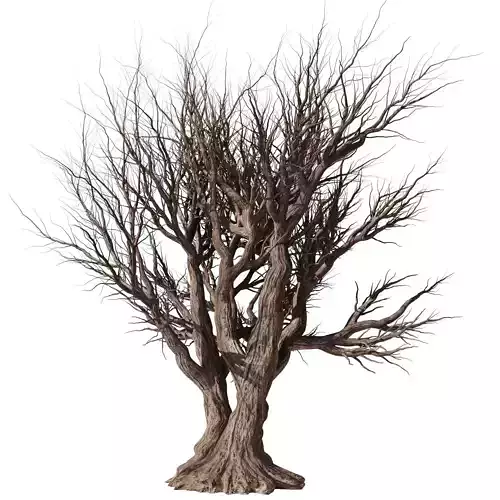 Dry Tree Set26 3D model