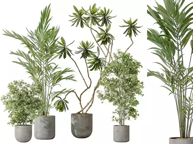 AV Indoor plants set 188