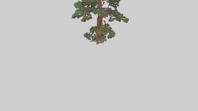 California Redwood tree model 3D model 6