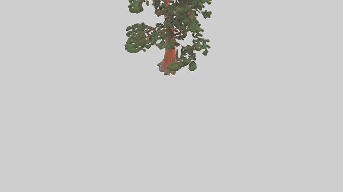 California Redwood tree model 3D model 4