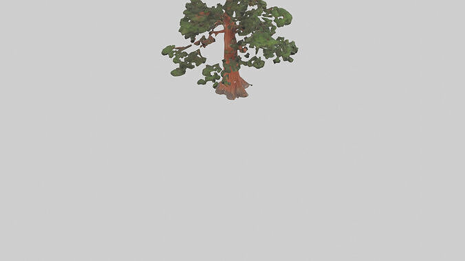California Redwood tree model 3D model 5