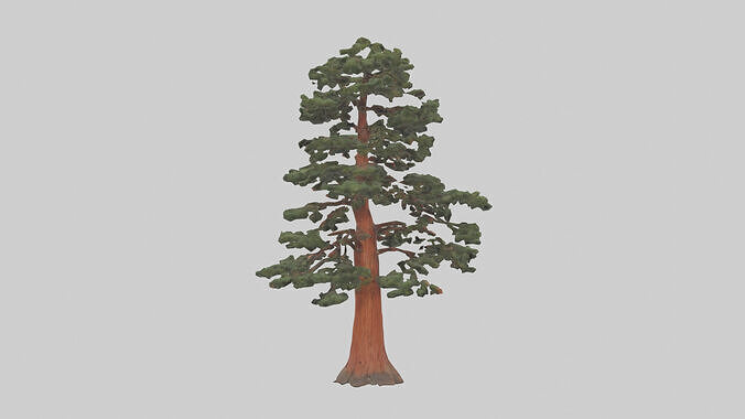 California Redwood tree model 3D model