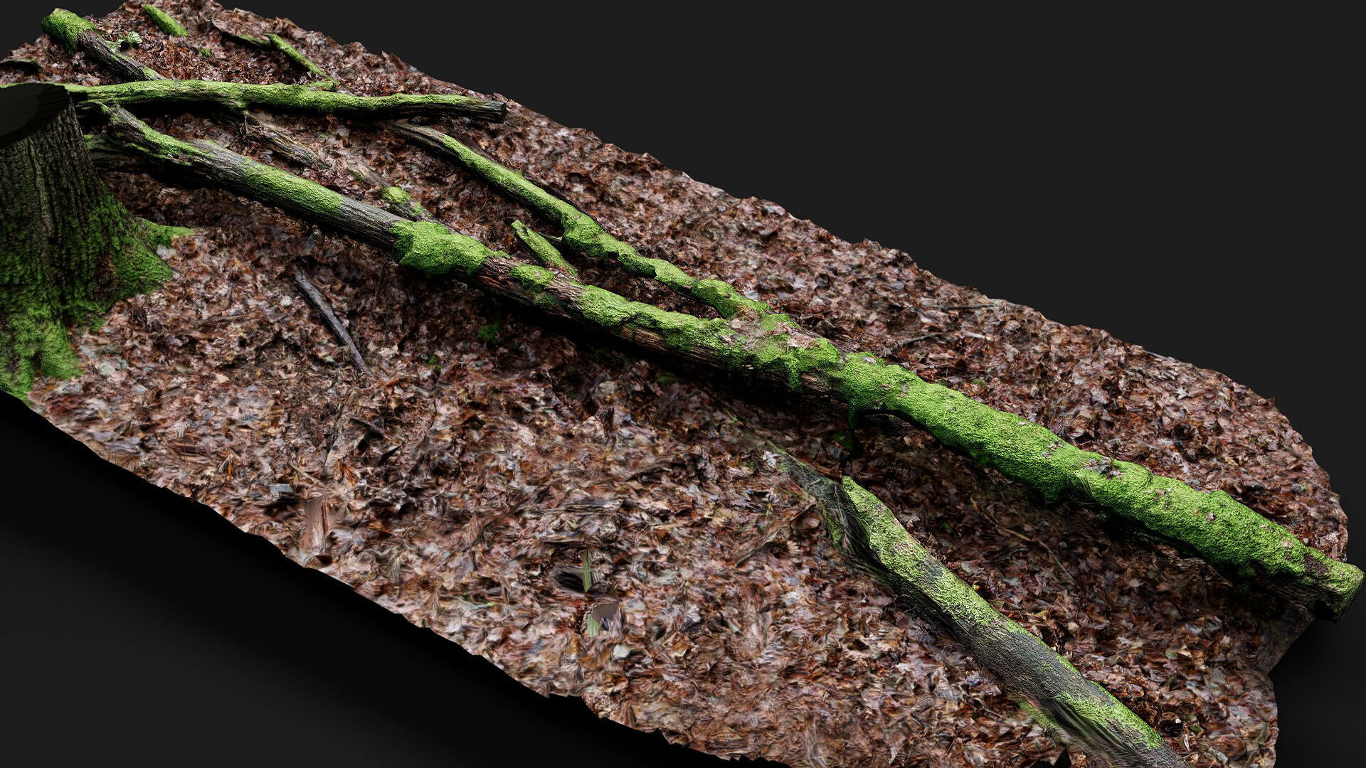 forest ground mossy tree branches debris pt11 photogrammetry Low-poly 3D model_5