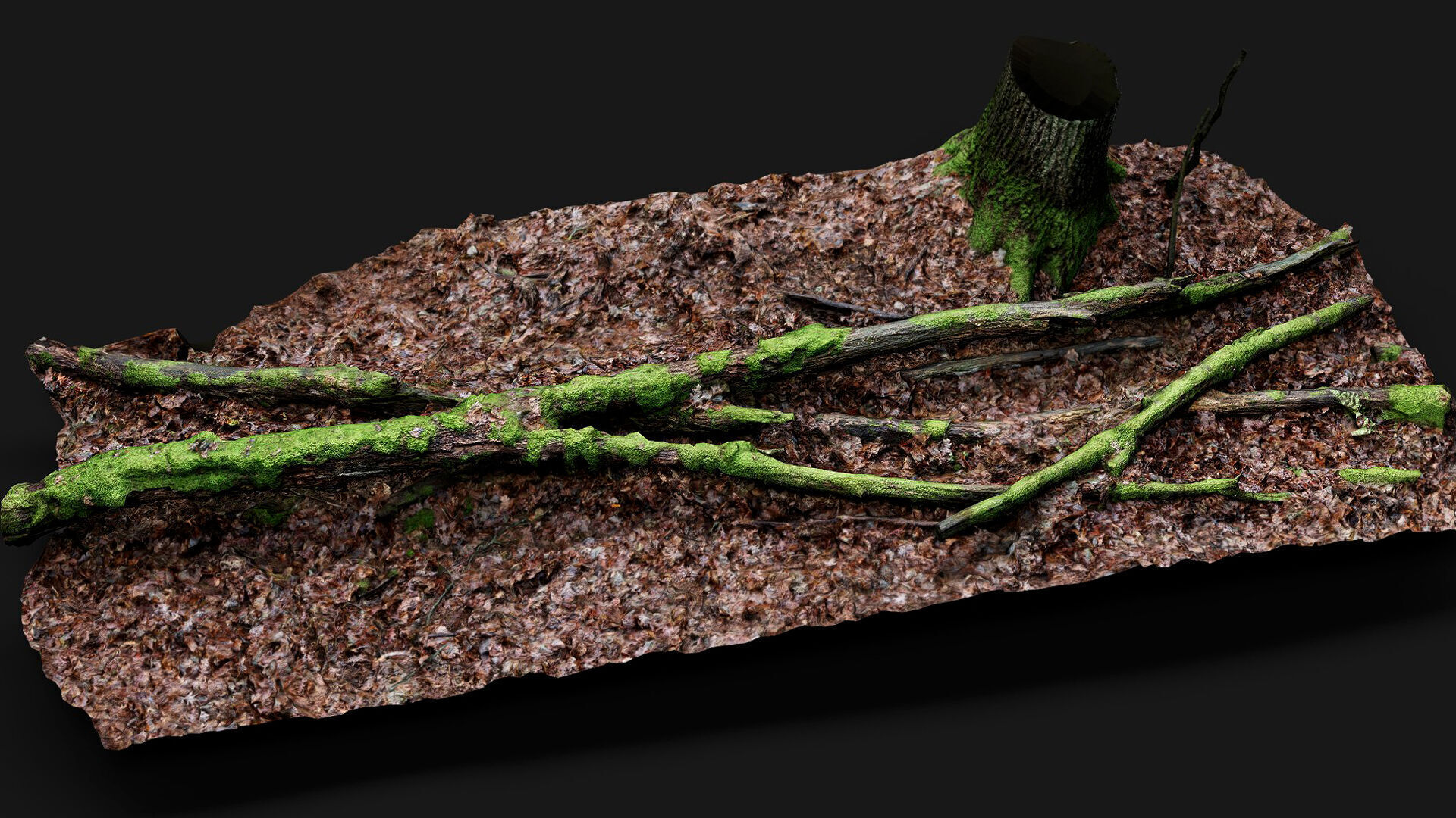 forest ground mossy tree branches debris pt11 photogrammetry Low-poly 3D model_3